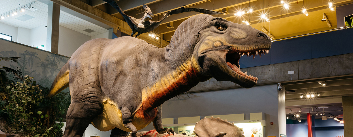 Things to do - St. Louis Science Center