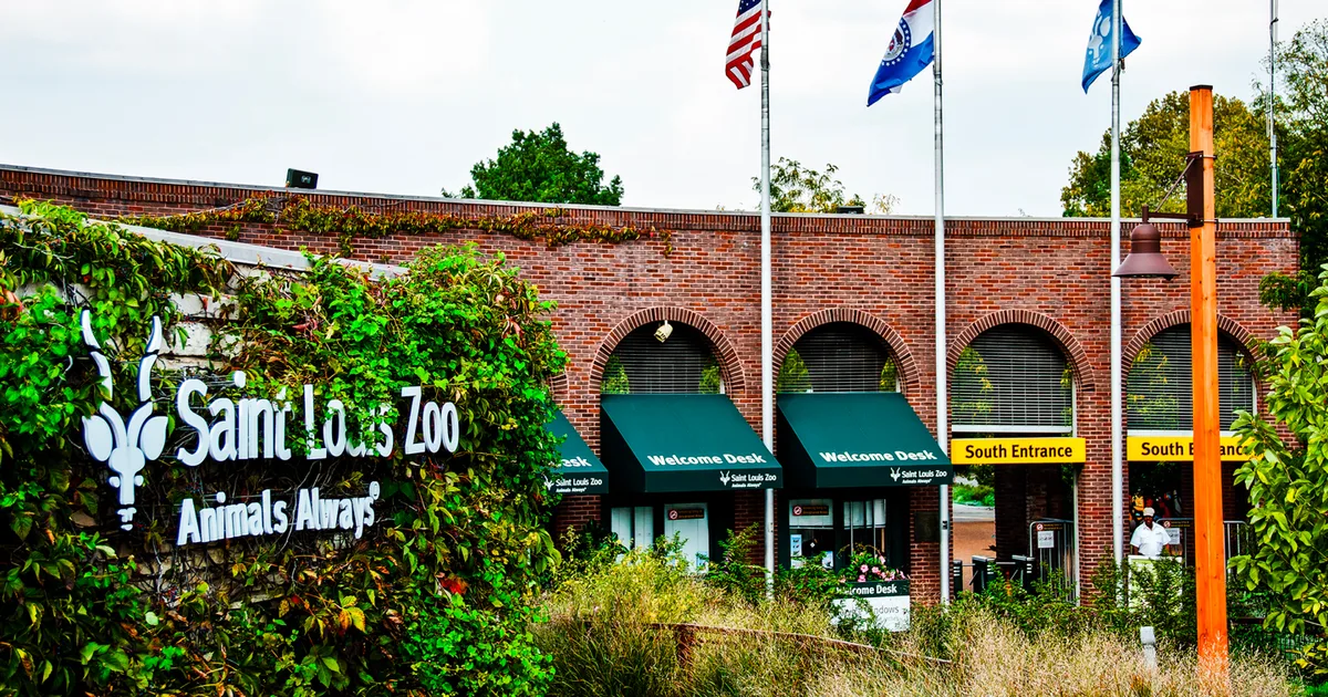 Things to do - St. Louis Zoo